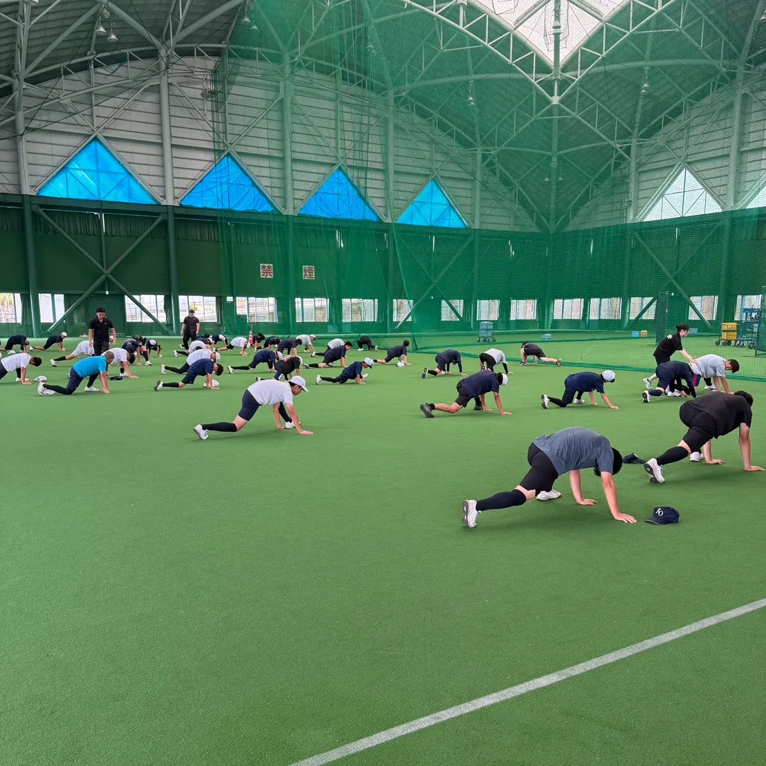 トレーナー派遣でチーム全体でレベルアップ！⚾️